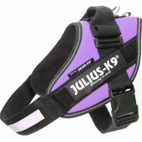 Julius-K9 IDC® Hundsele - Lila (2)