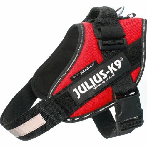 Julius-K9 IDC® Hundsele - Röd (4)