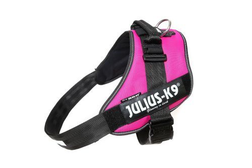 Julius-K9 IDC® Hundsele - Mörkrosa (4)