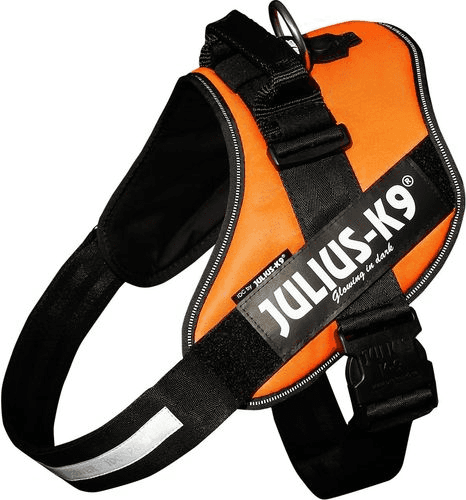 Julius-K9 IDC® Powerharness Sele - UV Orange