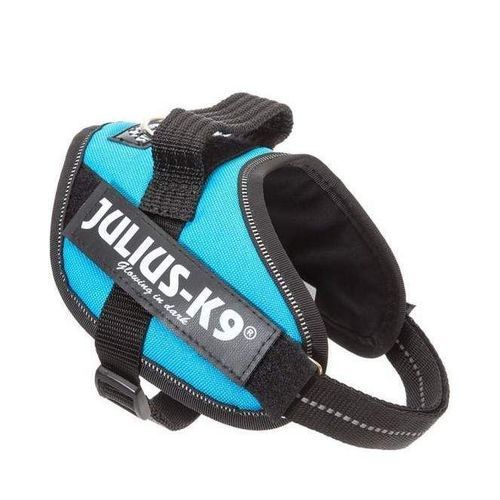 Julius-K9 IDC Sele Aquamarine - Mini-Mini