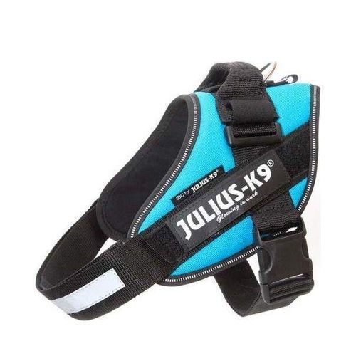 Julius-K9 IDC Sele Aquamarine - Size: 0