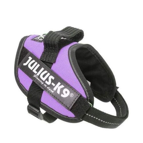 Julius-K9 IDC Sele Lila - Mini-Mini