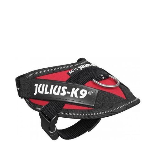 Julius-K9 IDC Sele Röd - Baby 1