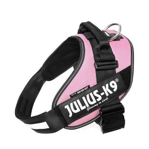 Julius-K9 IDC Sele Rosa - Size: 2