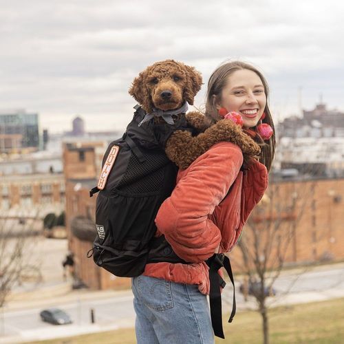 K9 Sport Air 2 Ryggsäck till Hund Svart (M)