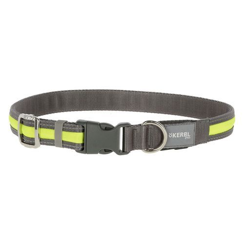 Kerbl Pet Light & Reflex ljushalsband - Storlek M/L: 45-65 cm halsomkrets, 20 mm bred