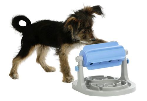 Kerbl Snack Roll Anti-Gobble