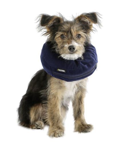 Kerbl Uppblåsbar Halskrage till Hund (36-50)