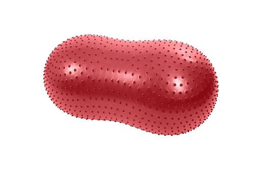 Balanskudde Kruuse Physio Tactile Peanut Röd 60 cm