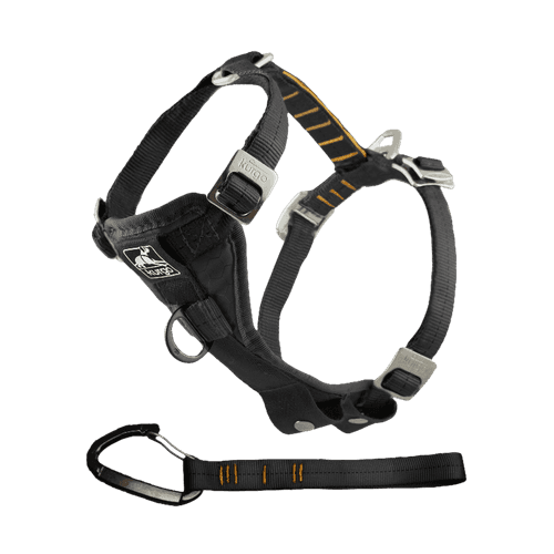 Enhanced Tru-Fit Car Smart Harness Black XS 2-5kg - Hund - Hundburar - Hundgaller - Kurgo - ZOO.se