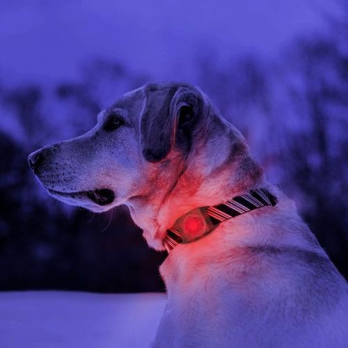 Kurgo RSG Molle Light – Säkerhetslampa till hund