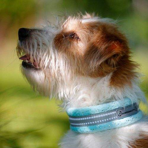 Kusse & Kutta Hundhalsband Mjuk Glitter Ljusblå (4)