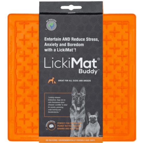 Classic Buddy Orange 20 x 20 cm