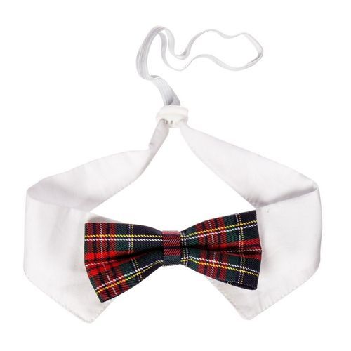 Little&Bigger Festive Fluga till Hund & Katt