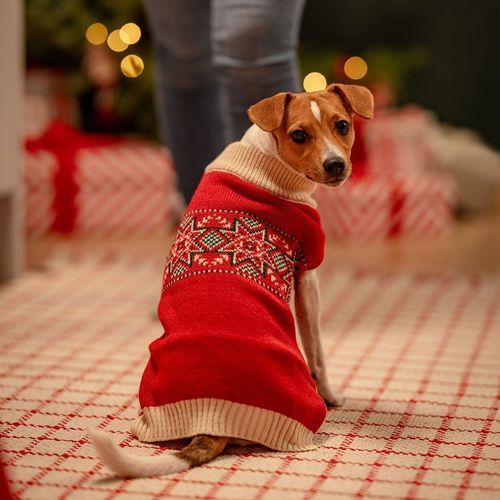 Little&Bigger Nostalgic Jultröja till Hund