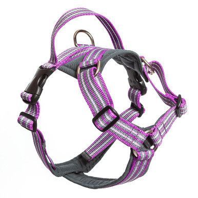 Future Walking Sele Lila - XXS