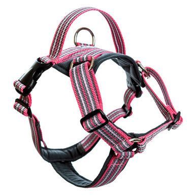 Future Walking Sele Rosa - XXS