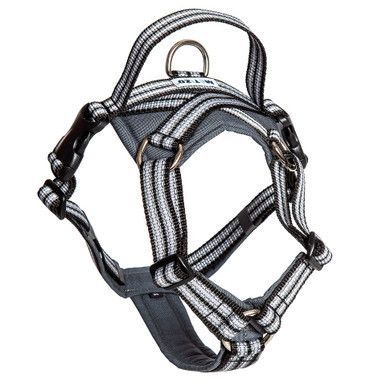 Future Walking Sele Svart - XS