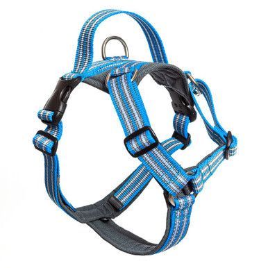 Future Walking Sele Turkos - XXL