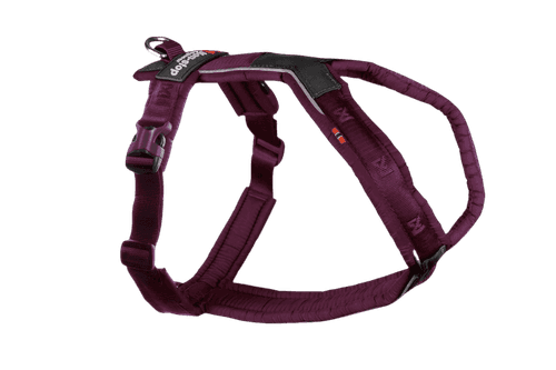 Line harness 5.0 Purple Nr 1