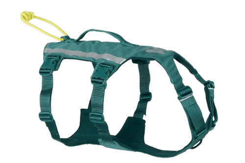 Ramble harness long S blue - Hund - Halsband - Non-Stop Dogwear - ZOO.se