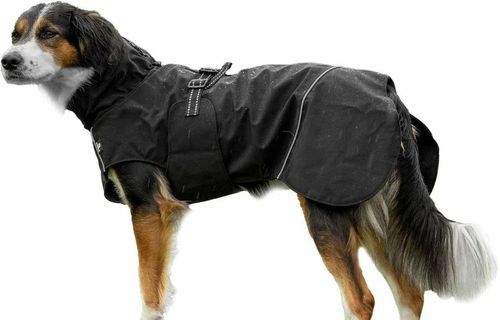 Outdoor Rainjacket för Hund - 60 / Svart