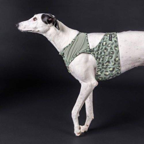 PAIKKA Kylväst Leopard Grön (S)