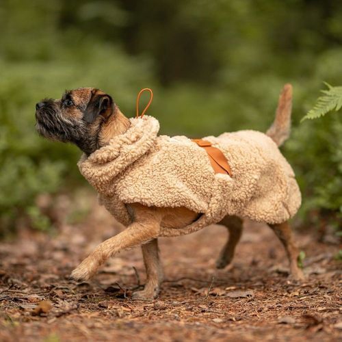 PAIKKA Sherpa Hundtröja Beige (70)