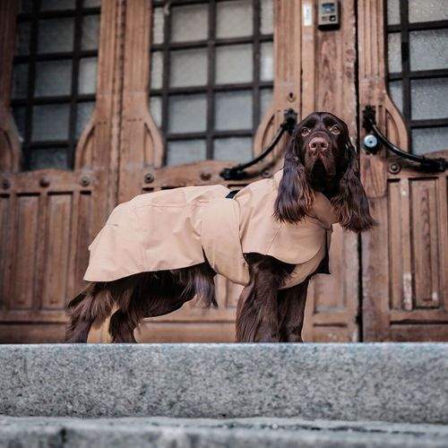 PAIKKA Visibility Lite Regnjacka Ljusbrun (60 cm)