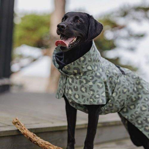 PAIKKA Visibility Lite Regnjacka till Hund Leopard Grön (55 cm)