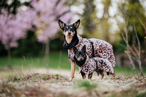 Reflekterande Regnjacka Hund, Leo - 45