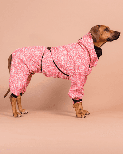 Regnoverall Hund, Röd - 70