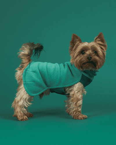 Seawool Hundtäcke Grön - 60