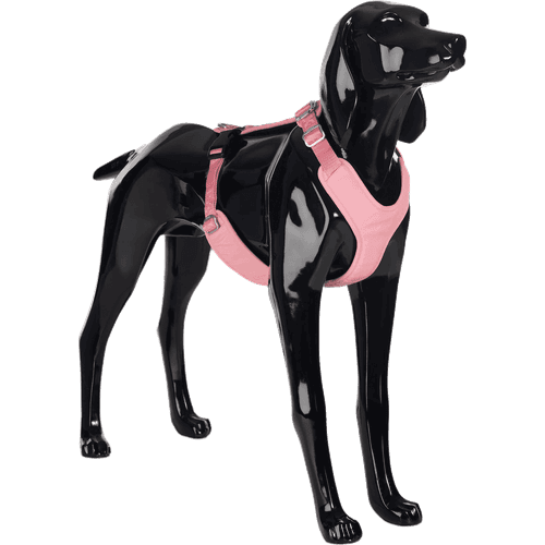 Visibility Harness Pink XS