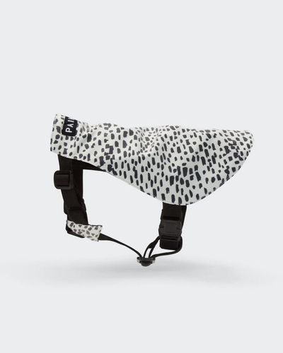 Y-Vest 2.0, Hundväst - L