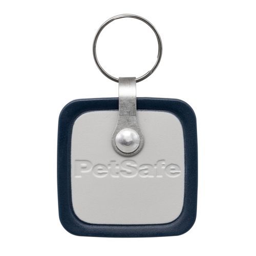 Petsafe Pet Door Key - Small