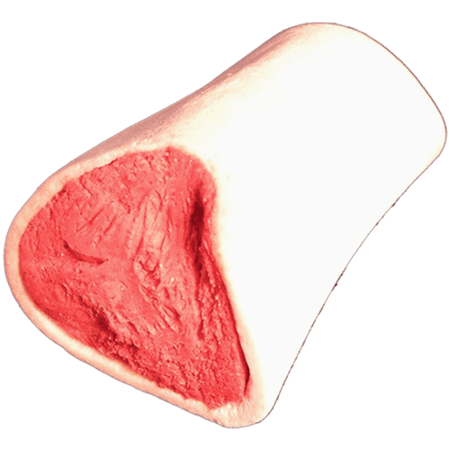 Treateaters Marrowbone with bacon - Hund - Hundgodis - Märgben - Petcare - ZOO.se