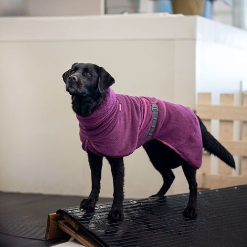 Pomppa Bath Badrock till Hund Lila (37/40)