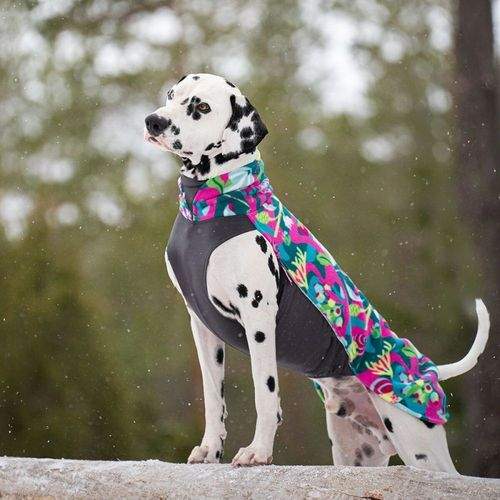 Pomppa Jumppa Hundtäcke Trail (80)