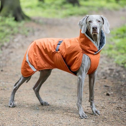 Pomppa Toppa Vintertäcke Hund Orange (52)