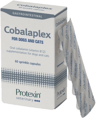 Cobalaplex för hundar och katter 60 kapslar