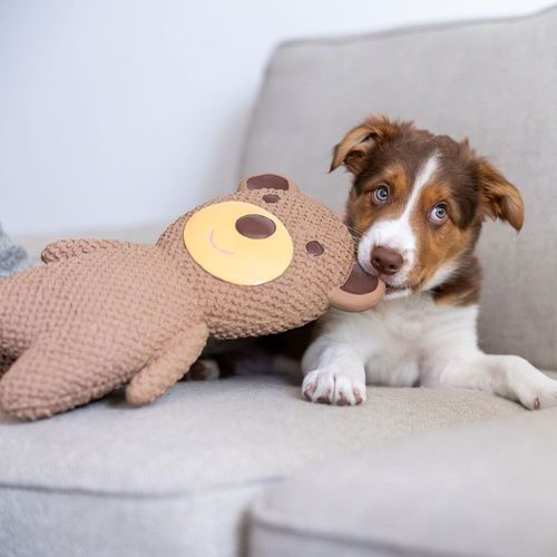 Quapas! Latex Björn XXL