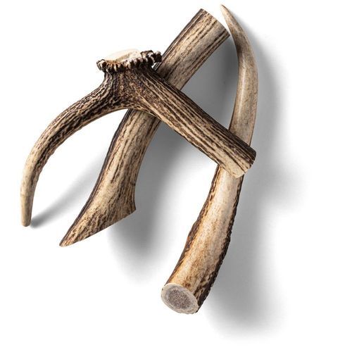 Hjorthorn Rauh Antler L