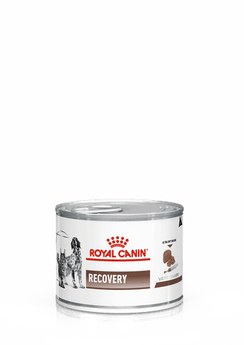 Gastrointestinal Recovery Ultra Soft Mousse Våtfoder för katter och hundar 195 g