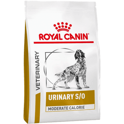 Urinary S/O Moderate Calorie Torrfoder för hund 12 kg