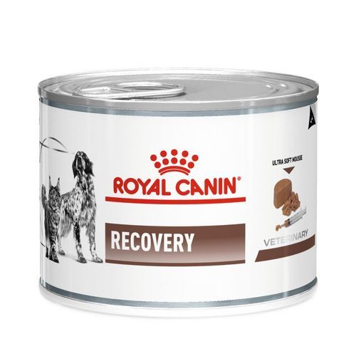 Royal Canin Gastro Intestinal Recovery Ultra Soft Mousse Can Våtfoder för Katter Och Hundar - 12x195 g