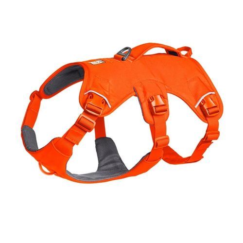 Ruffwear Web Master Hundsele Orange (L)