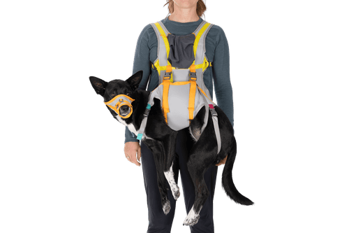Ruffwear BackTrak Dog Evacuation Kit - Cloudburst Gray (L (81-91 cm))