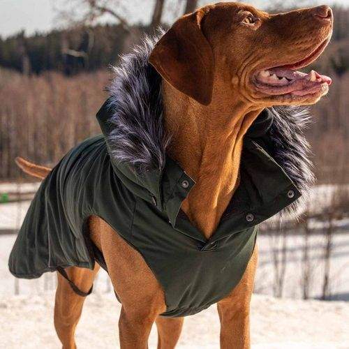 Rukka Frostbiter Hundtäcke Dark Forest (35 cm)